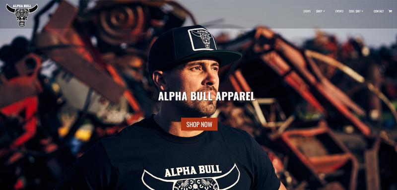 Web Design Case Study Cover Photo Alphabull